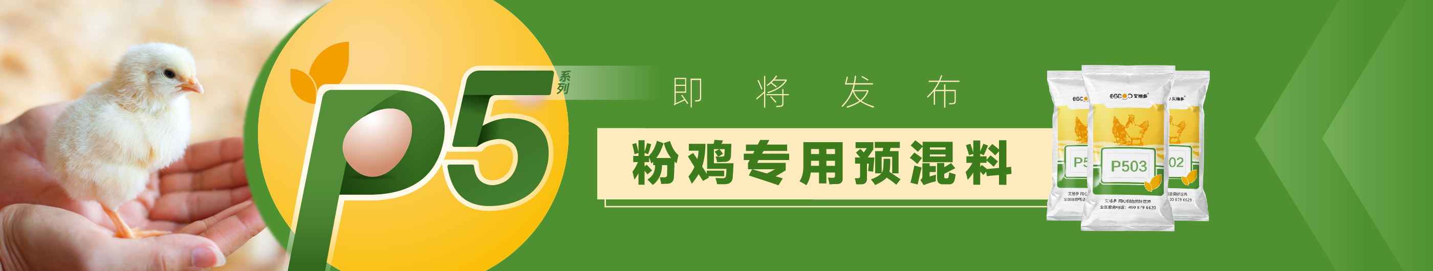 活动专题