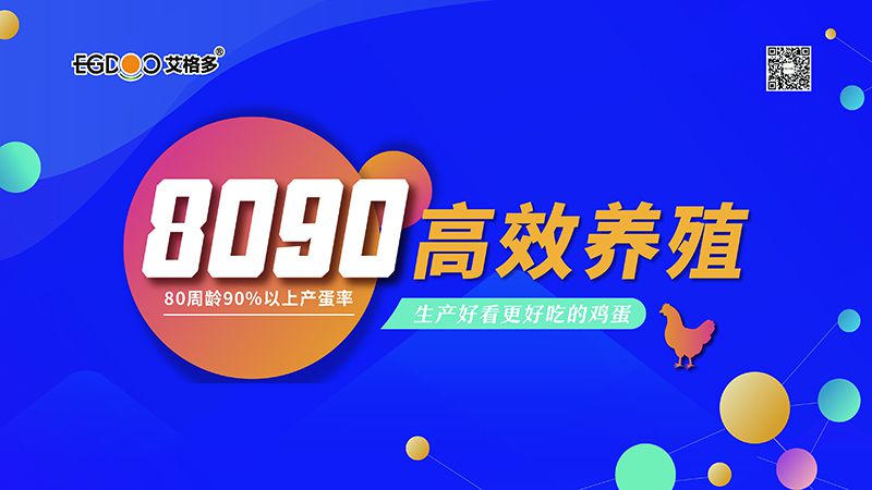 四会连开，艾格多8090高 效养殖700天唐山区域线下交流会成功举办