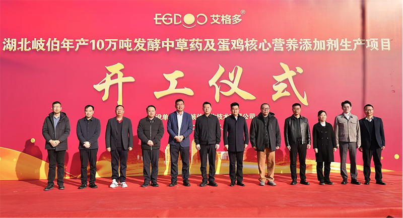 全国布局、赋能南方蛋鸡产业高质量发展——艾格多集团湖北荆州基地项目正式开工