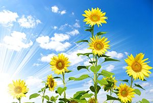 以初心铸根基 以文化领生长——艾格多集团“专注、极致、创新与爱”的文化践行之路