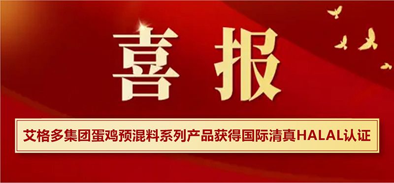 7月2日，艾格多集团蛋鸡预混料系列产品获得国际清真HALAL认证，开启国际市场新篇章