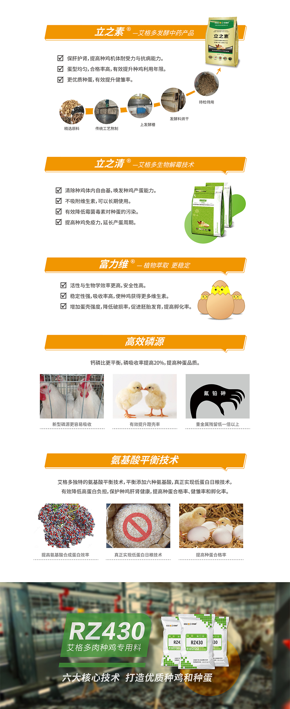 RZ430_产品详情页——肉种鸡_画板 2