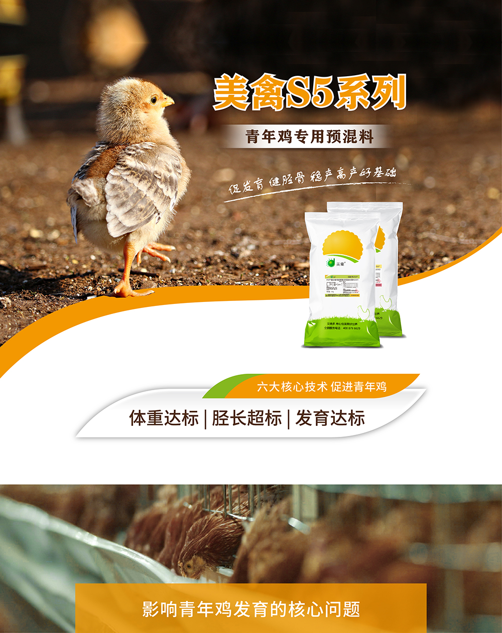 美禽S5系列-产品详情页_画板 1