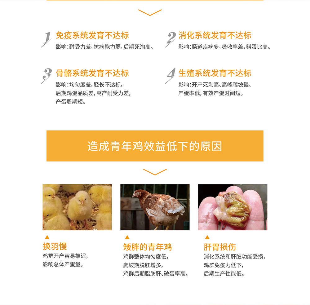 美禽S5系列-产品详情页-02
