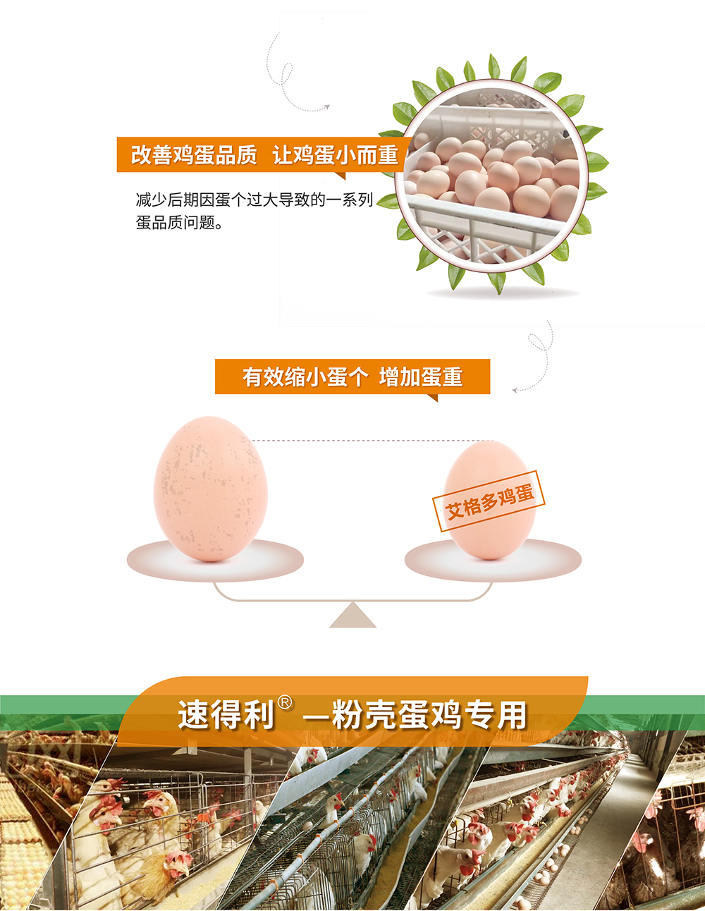 20220513速得利_产品详情页_画板 2