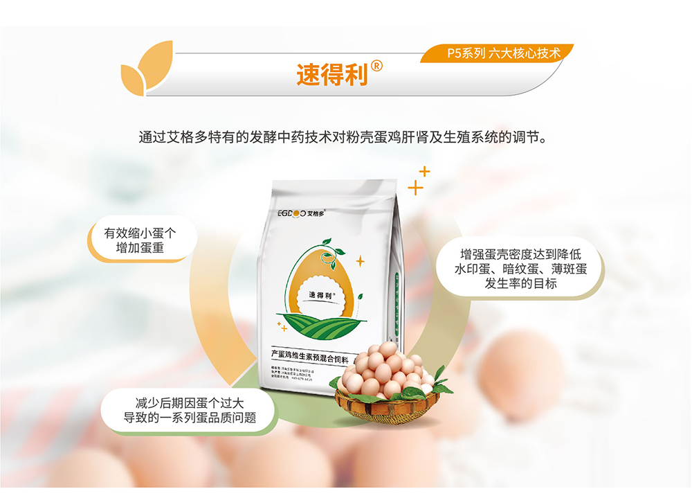 20220511粉壳蛋鸡专用料P5系列_产品详情页_画板 4