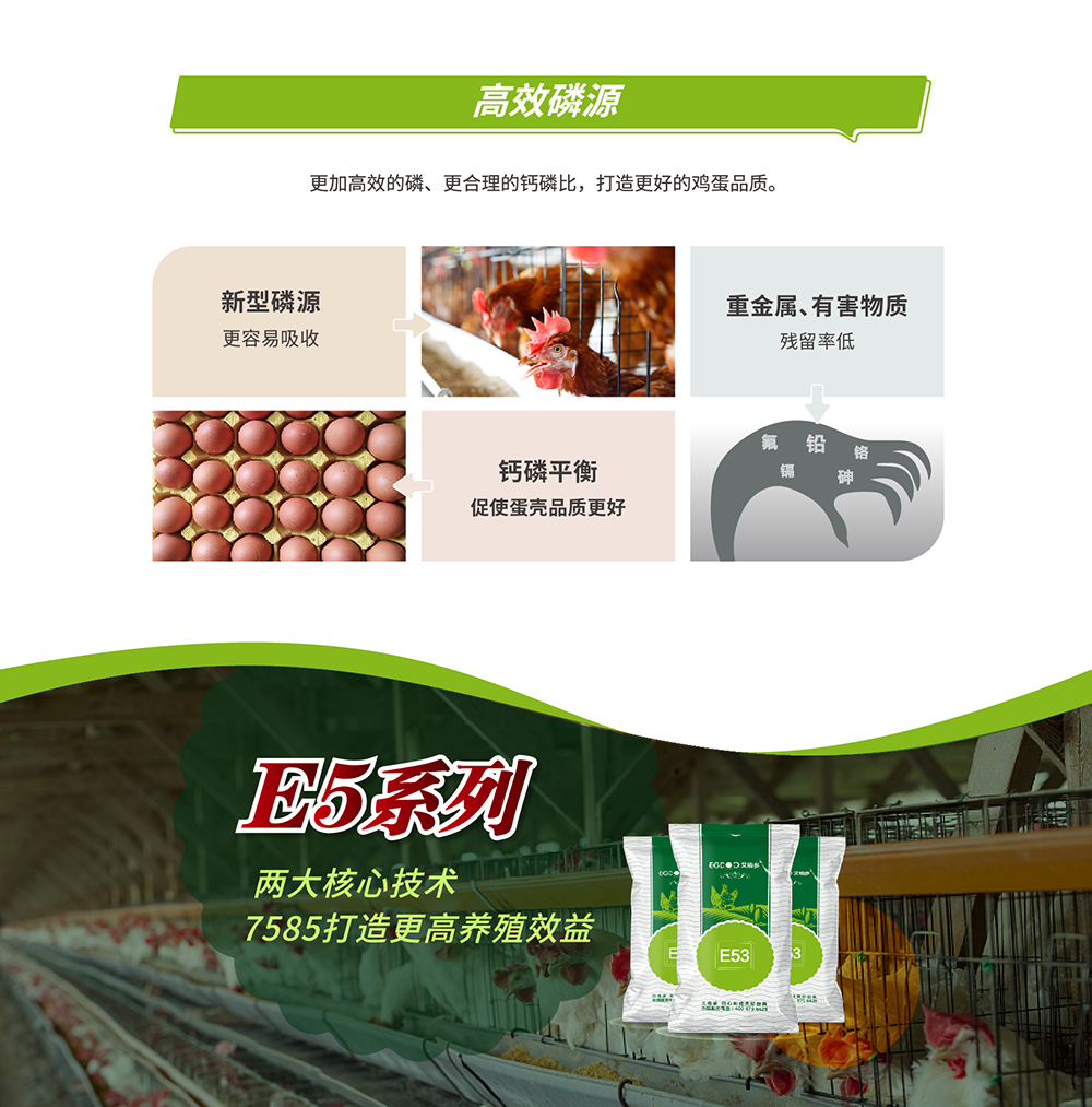 E5系列_产品详情页_画板 3