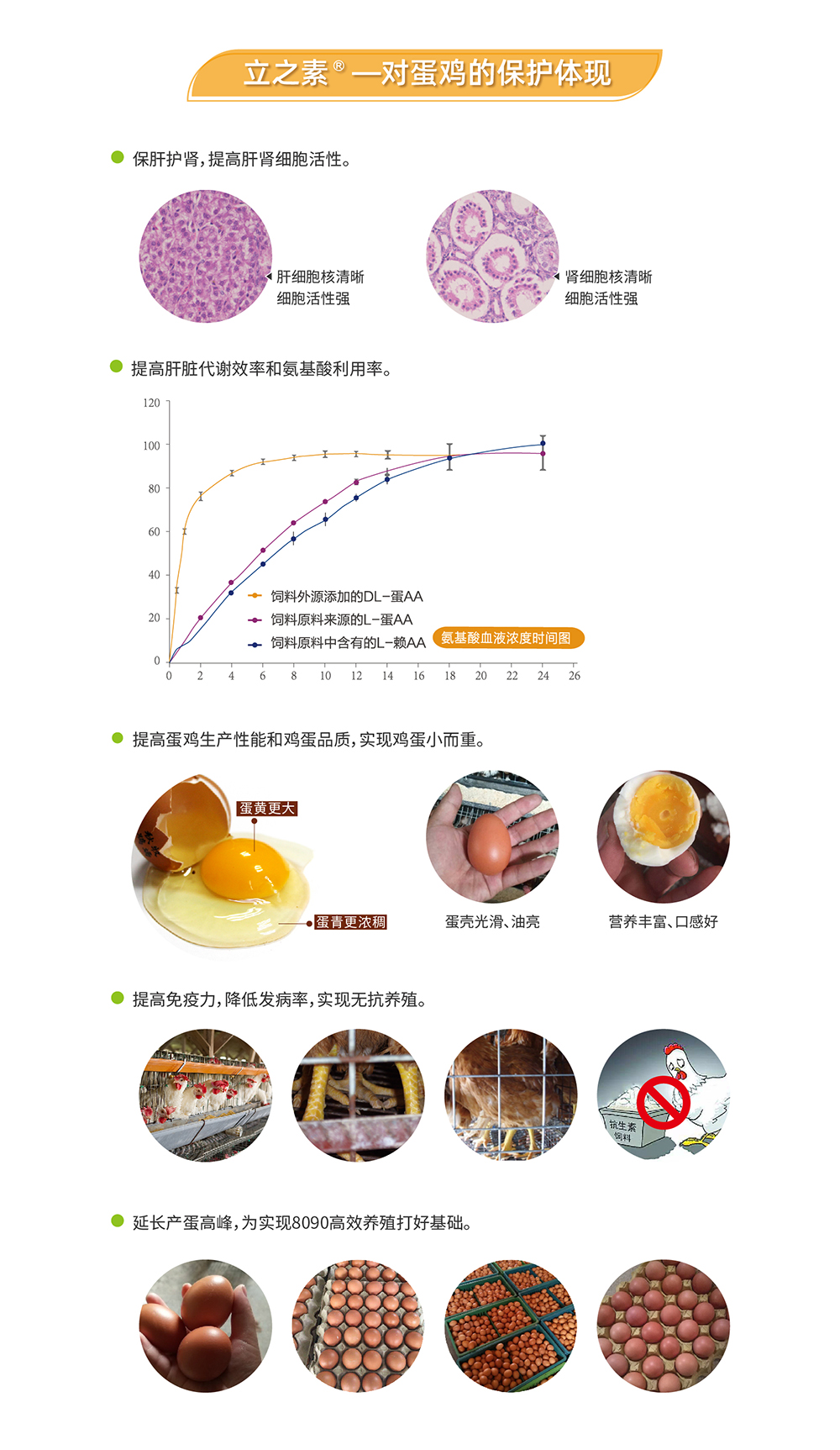 20220606 EA系列_产品详情页_画板 3