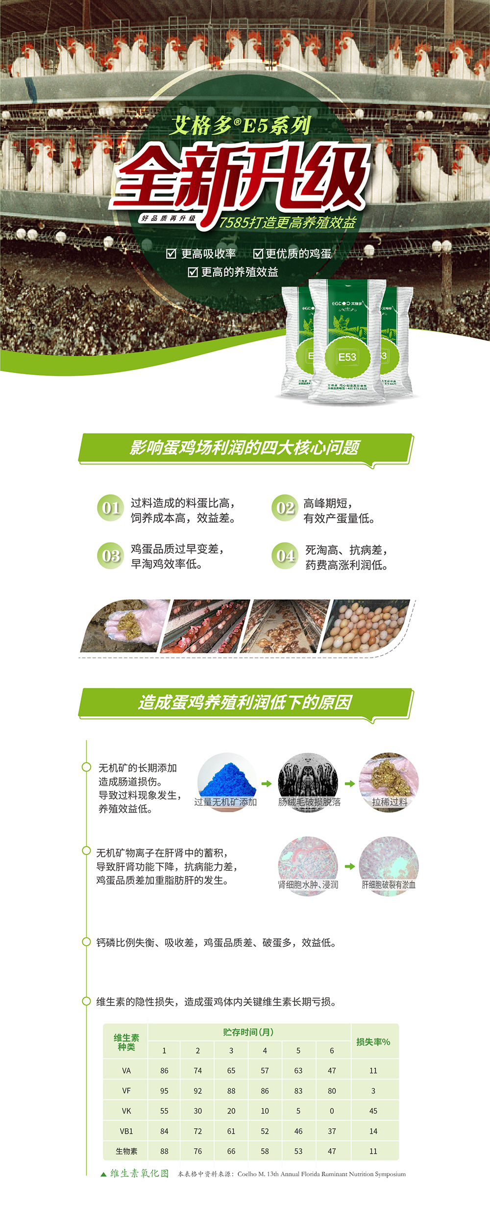 E5系列_产品详情页_画板 1