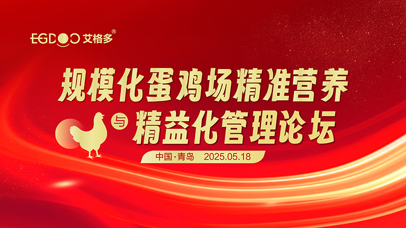 800微信图片_20250517232034