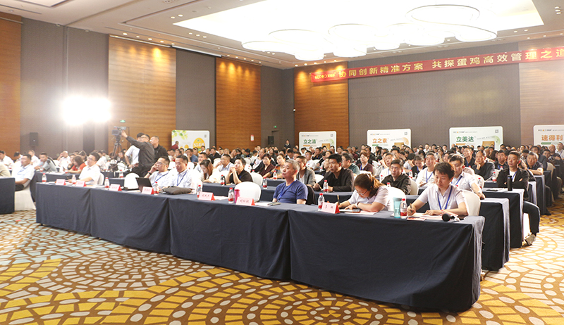 800会场