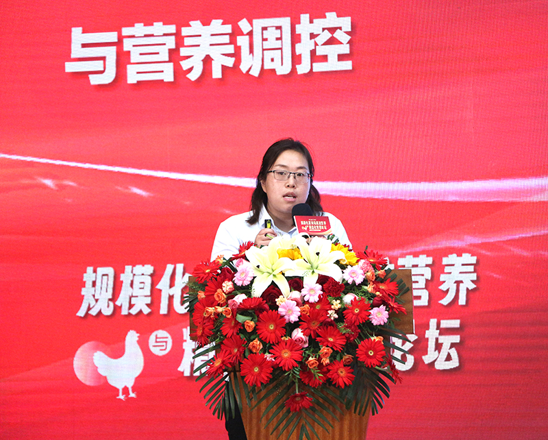 800李娜