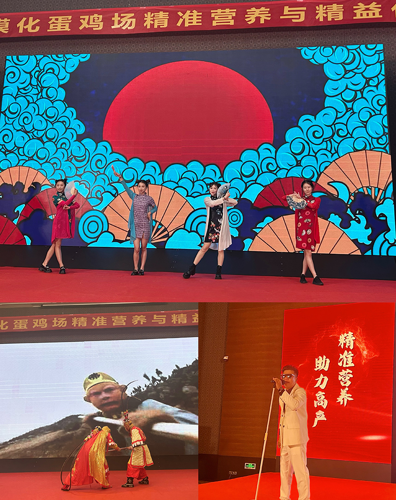 800拼图