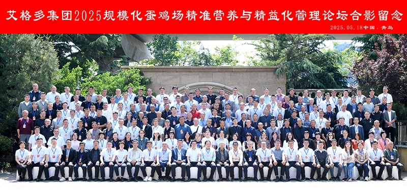 800合影