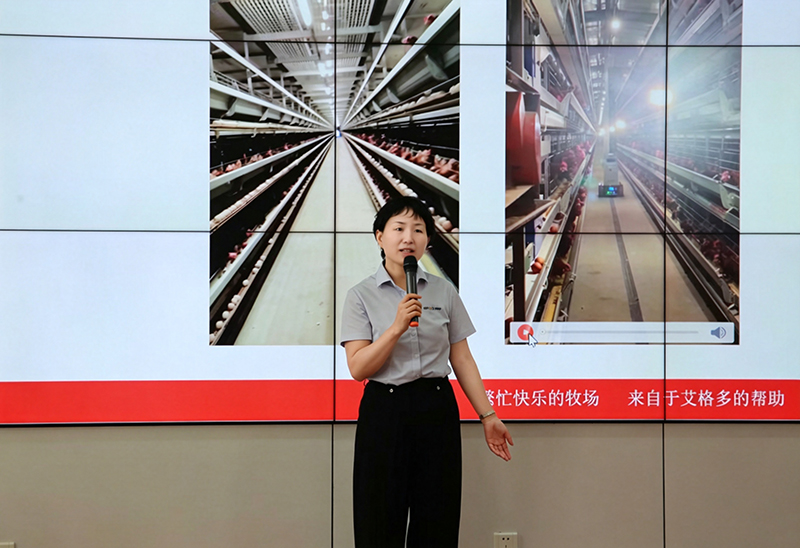 800微信图片_20260603113051