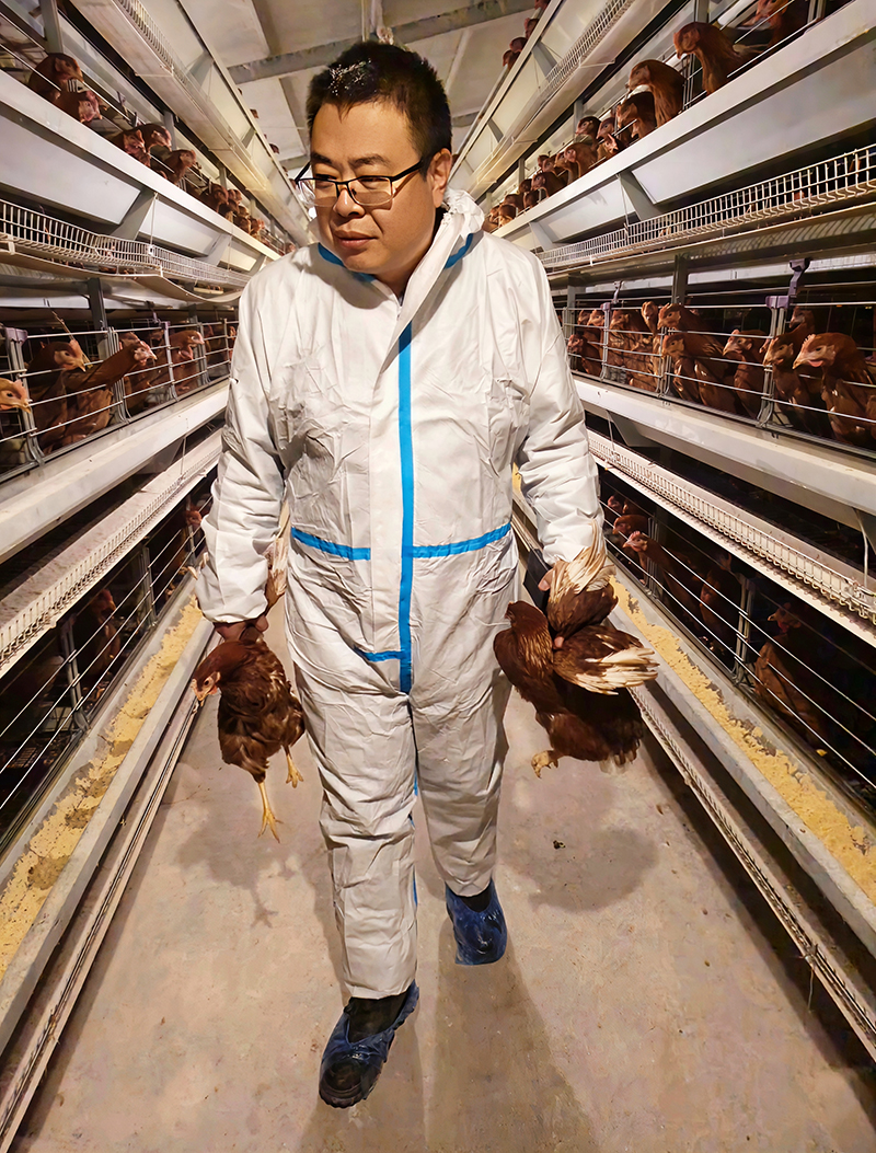 15.三等奖第十鸡舍里的实干家