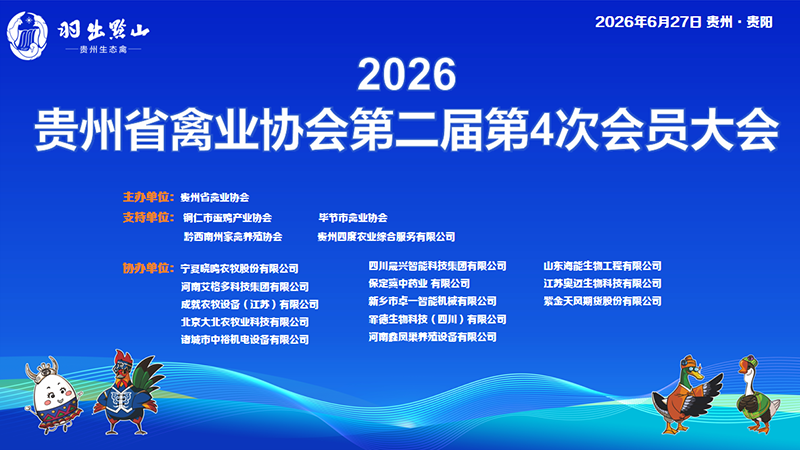 800背景图