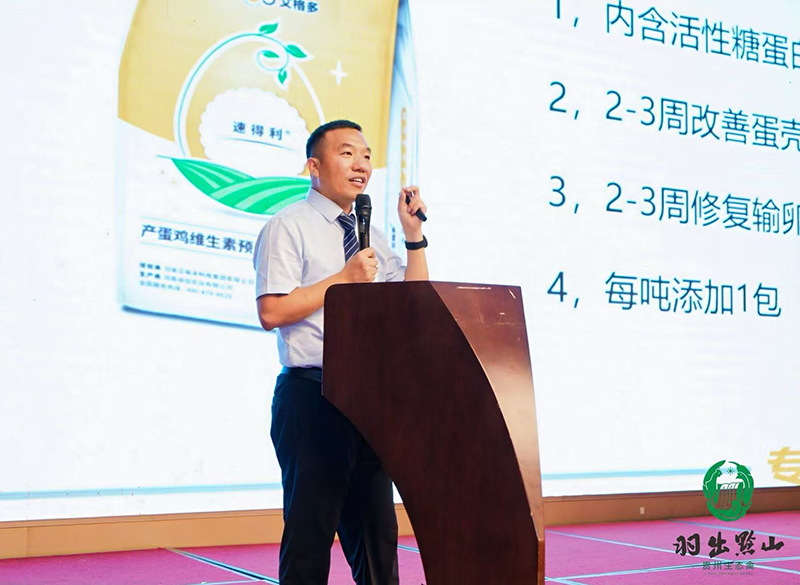 800李老师