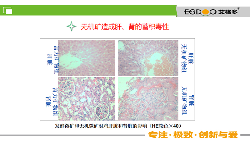 800课程2