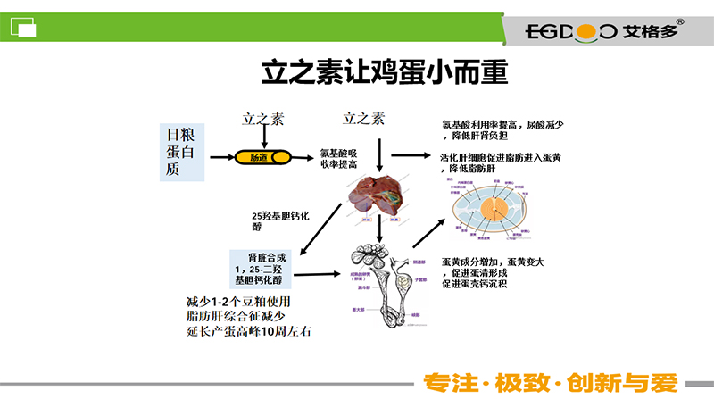 800课程4
