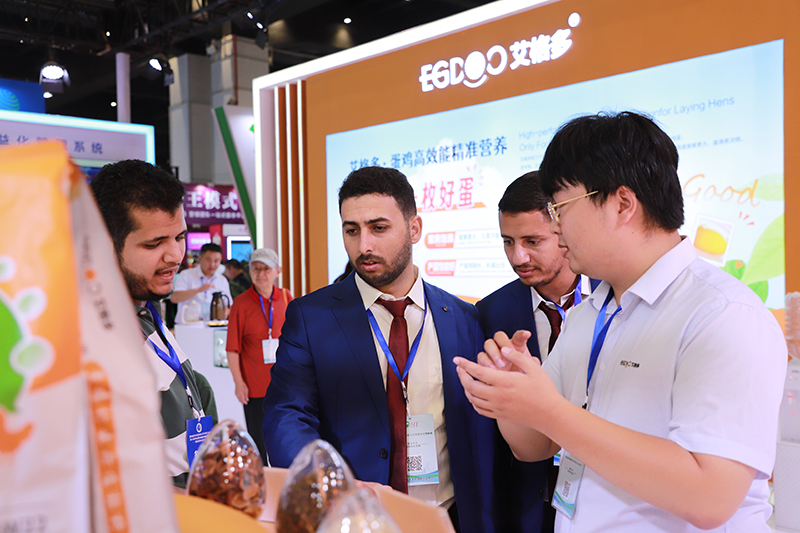 图片8