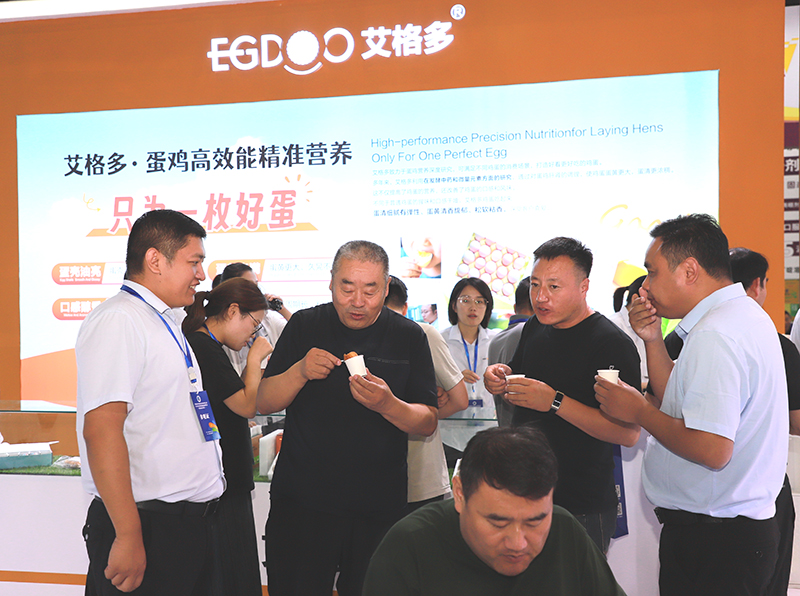 图片9