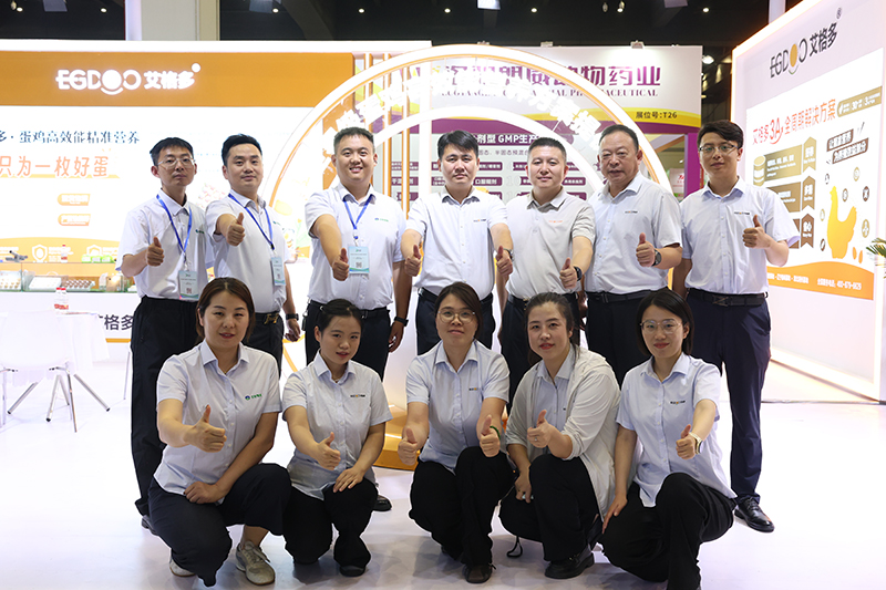 图片12